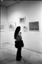 NYS Art exhibit