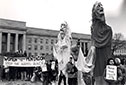 Puppets at Pentagon